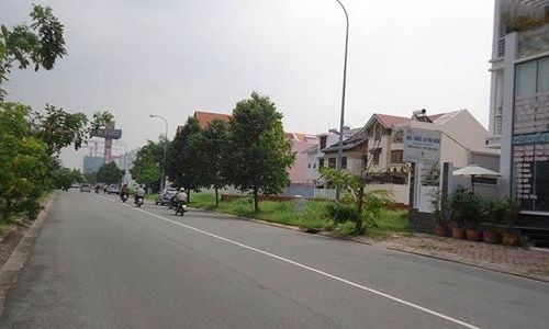 Bán Gấp Lô Đất 130m2 Mt Đường Nhựa 20m, Thổ Cư Bình Chánh Shr, Xdtd. Giá Rẻ Chỉ 5 Tr/m2