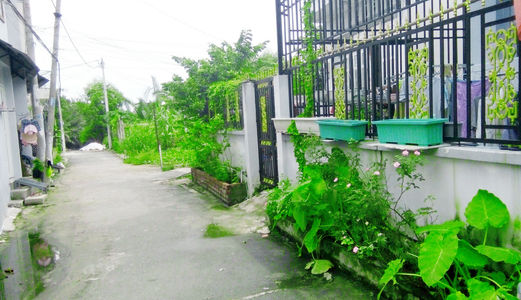 Bán 98m2 Đất Thổ Cư Giá 850Tr, Nở Hậu 4.8M, Xã Nhơn Đức, Nhà Bè, Sổ Hồng Riêng, Lh: 0169 8685 979