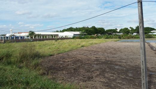 Kẹt Tiền Bán 1950 M2 Tc, Đường 835A , Giá Bèo 1.7 Tr/m2