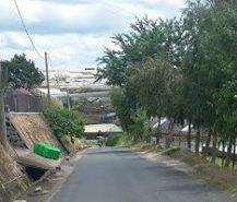 Đất Nghỉ Dưỡng Mặt Tiền, View Đẹp, Thoáng Mát P11 Đà Lạt – Bđs Liên Minh