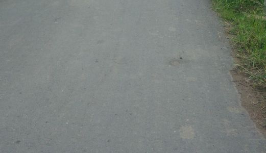 Bán 1916M2 Có 1300M2 Thổ Cư Ngay Mặt Tiền Đường 7 Cá 8 Luông Xã Hưng Long Huyện Bình Chánh