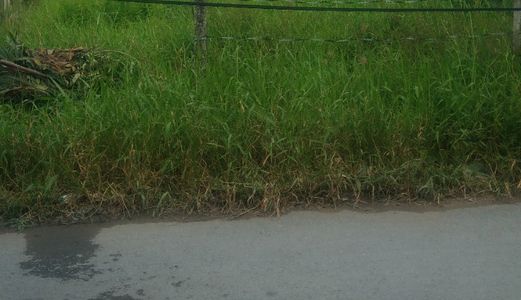 Bán 1268M2 Đất, Giá: 1 Tỷ Đường Nhánh Quy Đức, Bình Chánh.