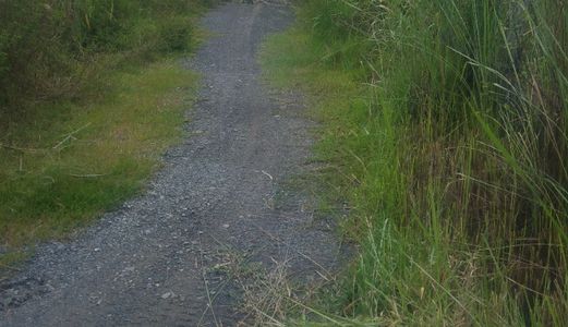 Bán Gấp 1123M2 Đất 2 Mặt Tiền Đường Nhánh Nguyễn Văn Thời Xã Quy Đức Huyện Bình Chánh