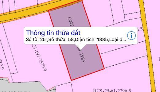 Bán Đất Mặt Tiền Cổng Chính Sân Bay Tờ 25 Thửa 58 Xã Long An-Long Thành-Đồng Nai