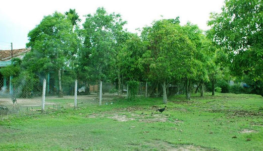 Sang Nhanh 1500M2 Đất, Giá Rẻ Chỉ 6 Tỷ, Lê Văn Lương, Nhơn Đức, Nhà Bè