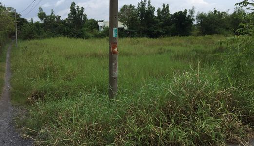 Đất Ở Đô Thị Xã Tân Quý Tây, Bình Chánh Giá 1.5 Tr/ M2