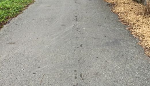 Đất Ở Đô Thị Xã Tân Quý Tây, Bình Chánh Giá 1.5 Tr/ M2