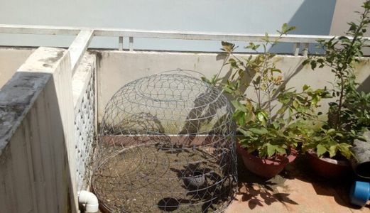 Bán Nhà Đẹp Đường 31 P. Bình Trưng Tây , Quận 2.