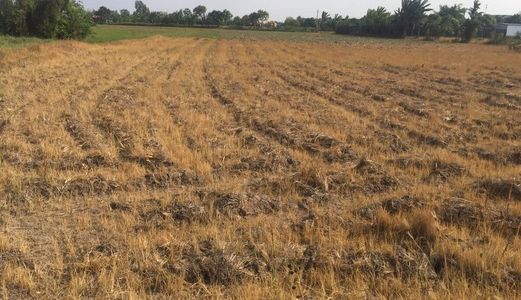 Chú 4 Cần Tiền Gấp Bán Đất Bình Chánh, 1.725M M2 Đất Mặt Tiền Đường Tân Liễu, Chính Chủ, Giá 5.5 Tỷ