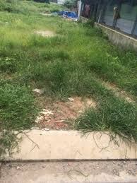  Bán 1000M2 Đất Vườn 900Tr Tại Hưng Long, Bình Chánh.