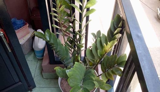 Bán Nhà Phân Lô, Bố Công An Phố Nguyễn Khang, 35M2 5 Tầng Chỉ 4.6 Tỷ !!!