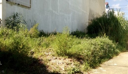 Bán Lô Đất Xây Khách Sạn, Gần Vườn Hoa Thành Phố Đà Lạt – Nguyên Tử Lực – P.8 – Đà Lạt, 978m2