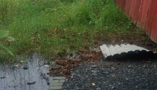 Chính Chủ Cần Bán Gấp 467m2 Đất Thổ Cư Ngay Mặt Tiền Xã Quy Đức Huyện Bình Chánh