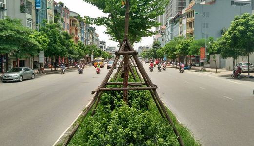Bán Nhà Mặt Phố Tân Mai, Nhà Mặt Phố, Giá Trong Ngõ.