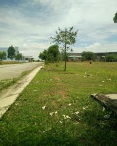 Đất Mt Nguyễn Thị Định Q2 ,Sổ Hồng Riêng,Thổ Cư Xd Tự Do.