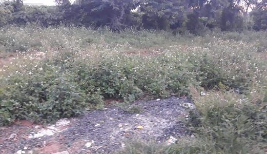 Cần Bán Nhà Hẻm Trần Quý Cáp