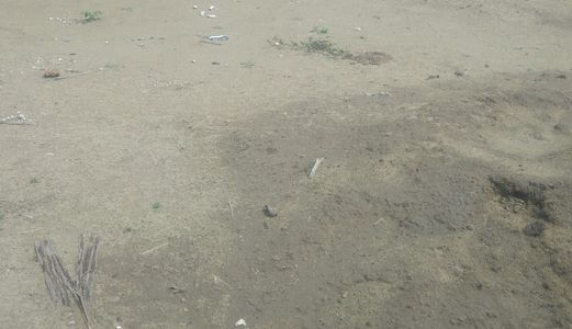 Chính Chủ Cần Sang 1000M2 Mặt Tiền Tập Đoàn 2, Xã Quy Đức, Huyện Bình Chánh