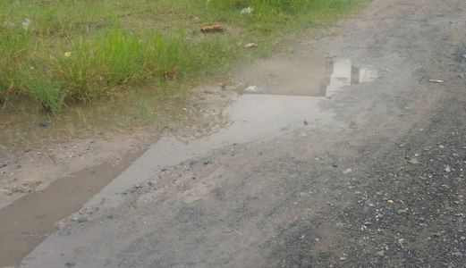 Bán 1000M2 Đất Mặt Tiền Đường Tập Đoàn 2, Xã Quy Đức, Bình Chánh. Gía 1,8 Tỷ