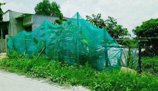 Cần Tiền Bán Nhanh 300M2 Đất Thổ Cư, Giá Rẻ, Lê Văn Lương, Nhà Bè.