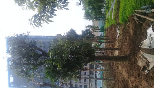 99M2, 1,9 Tỷ, 3 Phòng Ngủ, 2 Wc, 2 Ban Công