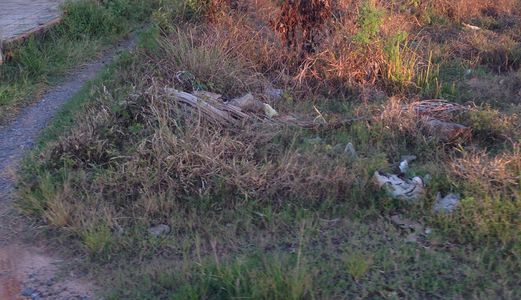 375 Triệu/73 M2 Đại Phước, Nhơn Trạch Sổ Hồng Riêng. Kdc Đông Đúc.