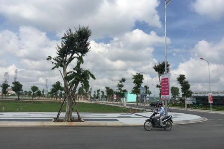 Lô Đất Thổ Cư, 30 Đuờng  D20, Cát Lái Quận 2