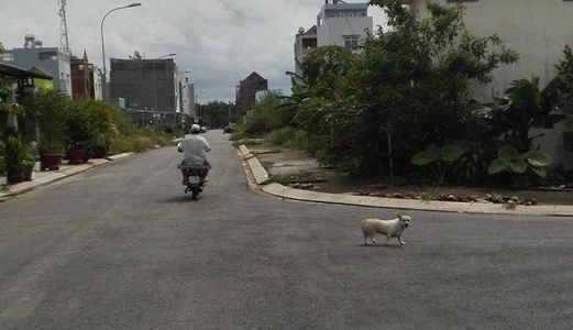 Đất 2Mt, View Sông,80M2, Hưng Long, Bình Chánh