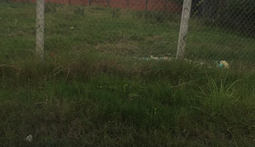 1.7 Tr/ M2 Đường Ô Tô Xã Hưng Long, Bình Chánh.