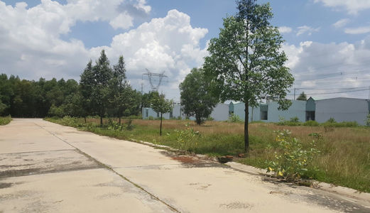 Gánh Gồng Không Nổi 3 Lô Đất Bán Vay Ngân Hàng Để Mua, Chính Chủ Cần Bán Gấp Đất Mỹ Phước 3