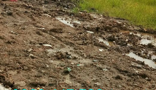 . Đất Nền Kdc Đại Phú - Bình Chánh