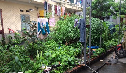 Bán Đất Phú Diễn, 36m, Đông Nam, Giá 1 Tỷ 368 Triệu.