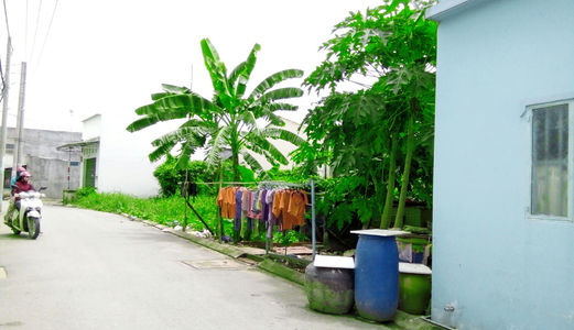 Bán Đất Thổ Cư 170m2, Ngang 5m, Chỉ 1.45 Tỷ, Xã Nhơn Đức, Đg Nhựa 8m, Kdc Nhơn Đức