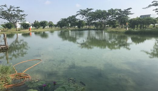 Không Nhu Cầu Bán Lại Đất Biệt Thự Nghỉ Dưỡng Đường Nguyễn Hữu Trí View Sông Mát Mẻ Giá Chỉ 6Tr/m2