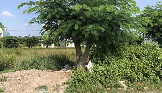  Không Nhu Cầu Bán Lại Đất Biệt Thự Nghỉ Dưỡng Đường Nguyễn Hữu Trí View Sông Mát Mẻ Giá Chỉ 6Tr/m2