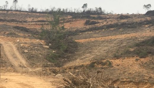 Sở Hữu Đất Nền View Biển Vịnh Hạ Long Với Giá Chỉ 10 Tr/m2