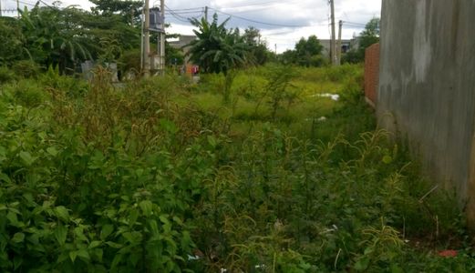 Đất Thổ Mặt Tiền Nhựa. Dt: 15X25M Đường A10-Kdc Tân Đức. Giá 2 Tỷ 1