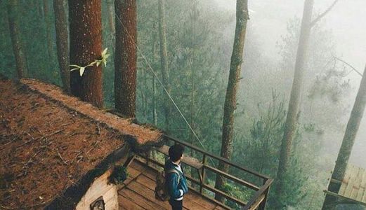 Đất Nền Giá Rẻ Tại Thành Phố Đà Lạt