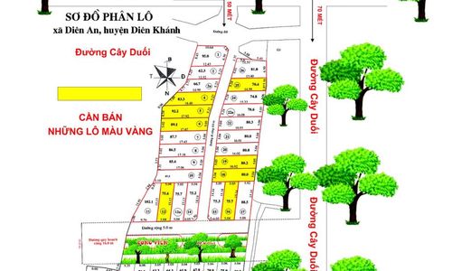 Bán Đất Đường Cây Duối- Diên An- Cách Đường 23/10 70M- Giá Chỉ Từ 4.9 Triệu/m2