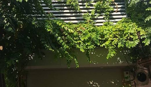 Bán Nhà Đẹp Phố Mới Mở Giữa Thái Thịnh - Thái Hà 48M2 Mt 5M (Giá 11.5 Tỷ) Lh: 0972244296 