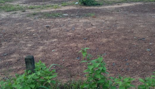 Đất Nhơn Trạch,phú Đông, Cách Cát Lái 4Km. Mt Đường Nhựa 7M