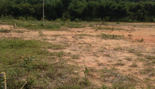 1Tỷ50 /125 M Thổ Cư 100%, Đất 2 Mt Phú Hữu, Nhơn Trạch, Đường Bê Tông 5 M Xe Hơi, Kdc Hiện Hữu, Nước Máy