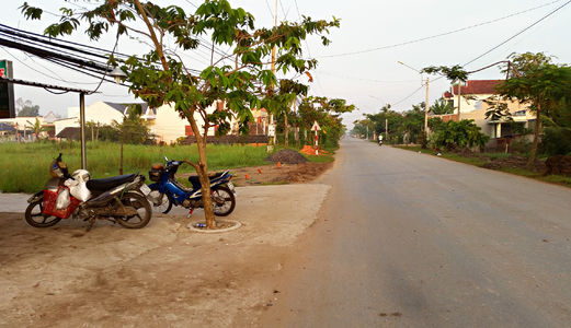 Bán Gấp 1340 M2 Đất Thổ Cư Mt Đường 835, Giá 4 Tr/m2.