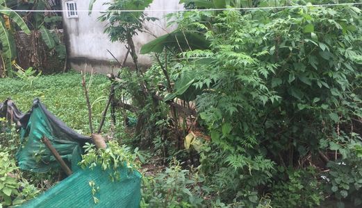 Bán Gấp Đất Tố 5 Yên Nghĩa Gần Bến Xe Ôtô Vào Nhà – 0902.900.884