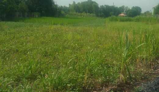 Vỡ Nợ Cần Bán Gấp 1490M2 Có 120M2 Thổ Cư Đất 2 Mặt Tiền Xã Tân Quý Tây, Bình Chánh