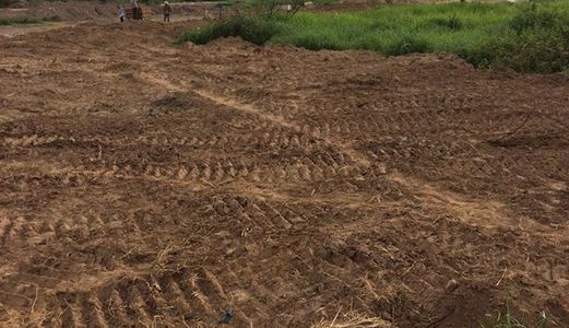 Đất Nền Đinh Đức Thiện, Bình Chánh, Shr, Gía 6 Tr/m2