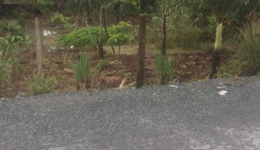 Cần Tiền Bán Lại 1099 M2 Thổ Cư Đường Ô Tô Xã Tân Quý Tây, Bình Chánh. Giá 2.5 Tỷ