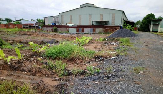 Đất View Sông, An Phú Tây, Bình Chánh, 130M2