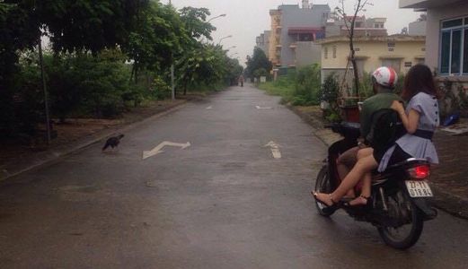 Cần Bán Đất Ngô Xuân Quảng 65M2, Ô Tô Vào Tận Nhà, Giá Cả Thương Lượng.