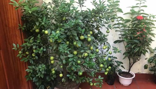 -  Nhà Đẹp, Vào Là Mê, Phố Mùng 8/3, 58m2, 4 Tầng, Mặt Tiền 6m, 4,3 Tỷ .