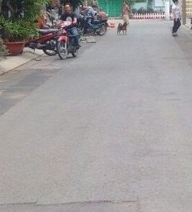 Đất Chính Chủ 57,9M, Đường Bành Văn Trân, Q.tb, Hcm